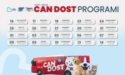 Sokaktaki Canlara Yerinde Tedavi: Can Dost İlçe İlçe Geziyor