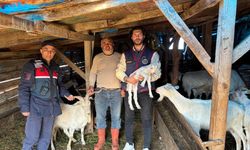 Balıkesir'de JASAT ve Dron Operasyonu! Kaybolan 50 Küçükbaş Hayvan İçin Havadan 16 Saatlik Takip