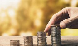 Ekonomi Sözlüğü: Temettü Nedir, Kimlere Verilir? Yatırımcılar İçin "Kâr Payı" Rehberi