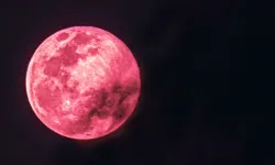 Pembe Dolunay 2026: 1 Nisan Gecesi Gökyüzünde Görsel Şölen! Saat Kaçta, Nasıl İzlenir?