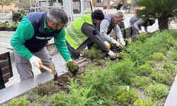 Edremit’te Meydanlar Renkleniyor: Cumhuriyet Meydanı Çiçeklerle Donatıldı