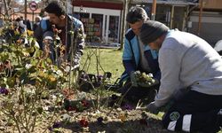 Dursunbey’de Bahar Hazırlığı: Parklar Mevsimlik Çiçeklerle Renkleniyor