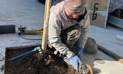 Bigadiç Belediyesi Hitay Caddesi'nde Çevre Düzenlemesi Yapıyor