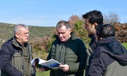 Balıkesir’de Yanan Ormanlar Yeniden Hayat Buluyor: Musa Şen Kepsut Sahasını İnceledi