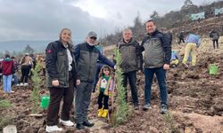 Kepsut’ta küllerinden doğan orman! Yangından etkilenen alanlar yeşeriyor