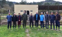 Balıkesir Üniversitesi'nde bahar sevinci! Yavru kuzular ilk kez anneleriyle buluştu