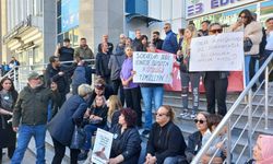 Edremit'teki hayvan katliamlarına protesto! Köpekler, kediler, şimdi de at kafaları!