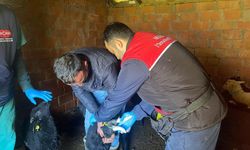 Balıkesirli Üreticilere Müjde: Ekipler Kapı Kapı Geziyor! Hayvancılıkta Yeni Dönem Başladı