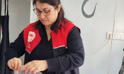 Gömeç’te Et ve Kasaplara Sıkı Denetim: 'Tür Tayini' İçin Düğmeye Basıldı!