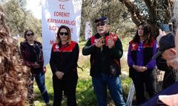 Edremitli Zeytinciler Sahada! İlçe Tarım Müdürlüğü'nden Kritik Eğitim