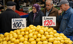 Limon dalda ucuz, tezgahta lüks! Üreteni öldür, ithalatçıyı güldür...