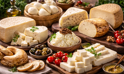 Ayvalık’ta GastroFest, Balıkesir’de PeynirFest!