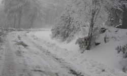 Kazdağları’nda Mart Sürprizi: Milli Park Beyaza Büründü! Kar Kalınlığı Yarım Metreyi Buldu