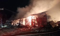 Kocaeli Dilovası'nda Ahır Yangını Faciası: 50 Küçükbaş Hayvan Telef Oldu