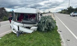 Çanakkale Ayvacık'ta Korkutan Kaza! Minibüs Ağaca Çarptı: 2 Yaralı