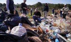 Ayvalık Adaları Tabiat Parkı'nda çevre temizliği... Atıklar kayıt altında