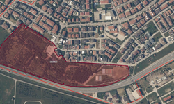 Bandırma’nın Nefesi General Balcı Çamlığı Özelleştirme Tartışmasının Gölgesinde