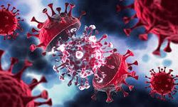 Yeni COVID-19 Varyantı BA.32 Nedir?