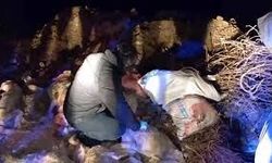 Edremit’te Hayvan Katliamı İddiası! Eminkuyu Çöplüğü'nde Neler Oldu? Belediye ve STK’lardan Kritik Açıklamalar