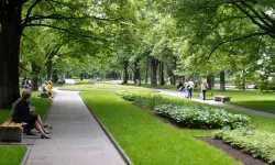 PARKLAR VE PEYZAJ ÇALIŞMALARI YAPTIRILACAKTIR