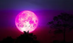 2026 Pembe Dolunay Ne Zaman, Saat Kaçta? Ay Gerçekten Pembe mi Olacak? İşte Türkiye’den İzleme Rehberi!