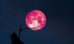 2026 Pembe Dolunay Ne Zaman, Saat Kaçta? Ay Gerçekten Pembe mi Olacak? Türkiye'den İzlenebilecek mi?