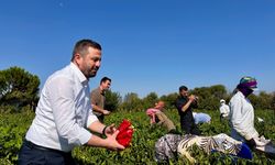 Balıkesir’de Tarıma Rekor Destek: Ödemeler Başladı