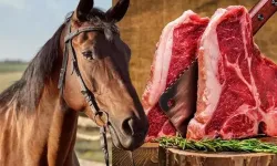 İstanbul'da At Eti Operasyonu: 306 Kilogram Et ve Suç Cephaneliği Ele Geçirildi!