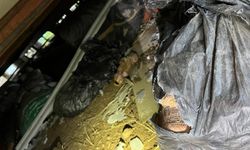 Gömeç’te Yürekleri Ağza Getiren Anlar! Mahsur Kalan Yavru Köpeğin İmdadına Ekipler Yetişti!