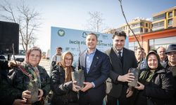 Büyükşehir'den Havranlı üreticilere yüzde 100 hibeli incir fidanı