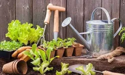 BAHÇE EKİPMANLARI VE YEDEK PARÇA MAL ALIMI