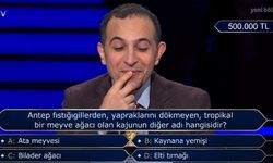 Milyoner’de Yarım Milyonluk Bilmece: Kajunun Halk Arasındaki İsmi Herkesi Şaşırttı!