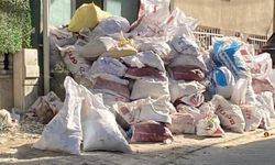 Altıeylül Belediyesi’nden Çevre Uyarısı: “Ot ve Moloz Atıklarını Konteynerlere Atmayın”