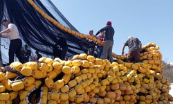 Erdek’te Orkinos Avı Öncesi Sıkı Denetim! Balıkçı Gemileri Tek Tek İncelendi