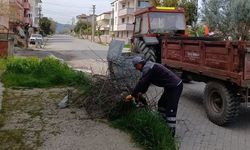 Bigadiç’te Bahar Temizliği: Park ve Bahçeler Yeni Görünümüne Kavuşuyor