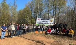 Kayın Ormanlarında Tecrübe Aktarımı: Balıkesir’de Genç Mühendislere Silvikültür Eğitimi