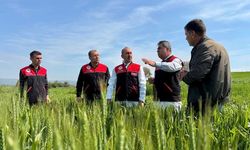 Balıkesir’de Süne Mesaisi: Altıeylül’de Sürvey Çalışmaları Başladı!