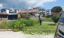 Erdek’te Bahar Temizliği Hız Kazandı: Ekipler İlçe Genelinde Yeşil Alan Bakımına Çıktı