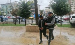 Tokat’ta Tır Dorsesinde Zehir Sevkiyatı: Elektrikli Düzenek Bile Kurtaramadı, Sürücü Tutuklandı