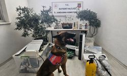 Kayseri’de "Ev Tipi" Kenevir Serasına Baskın: Özel Sistemlerle Üretim Yapmış!