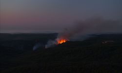 Beykoz’da Yangın Paniği Büyüyor: Kontrol Altına Alınan Bölgede Alevler Yeniden Çıktı!