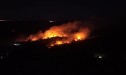 Beykoz’da Korkutan Gece! Orman Yangını Kontrol Altına Alındı! Son Durum Ne?