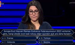 Milyoner'de Merak Uyandıran İstatistik: Avrupa'da Kedi Nüfusu En Yüksek Ülke Hangisi?