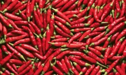 ACI SEVENLER DİKKAT! SOFRADAKİ O TAT SANDIĞINIZ KADAR MASUM DEĞİL...