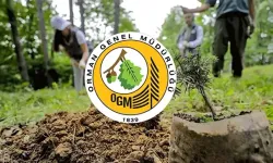 ALAÇAM ORMAN ISLETME MÜDÜRLÜGÜNDE 2026 YİLİNDA ÜRETİLECEK ORMAN EMVALLERİNİN BOYLAMA VE MESAHA İSLERİ