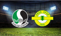 Sakaryaspor - Esenler Erokspor Maçı Ne Zaman? Saat Kaçta? Hangi Kanalda?