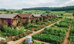 TARIM ARAZİLERİNDE YENİ DÖNEM: HOBİ BAHÇELERİ VE KAÇAK YAPILARA SIKI DENETİM