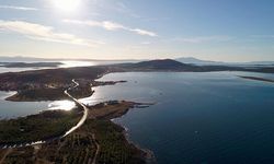 Ayvalık'ın Su Altı Hazinesi Alarm Veriyor! Mercan Ormanları Kirlilikle Boğuluyor