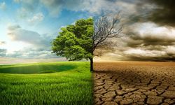 SUYUN İZİNDE: TARIM VE GIDA GÜVENLİĞİ BALIKESİR’DE MASAYA YATIRILACAK