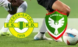 Süper Lig'e Yükselecek 2. Takım Belli Oluyor! Esenler Erokspor mu, Amedspor mu?